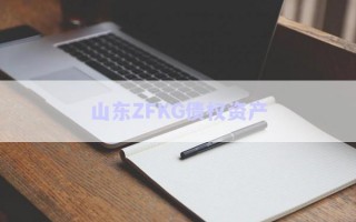 山東ZFKG債權(quán)資產(chǎn)