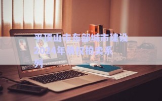 平頂山市東部城市建設(shè)2024年債權(quán)拍賣系列