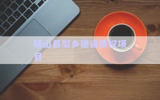 碭山縣梨鄉(xiāng)建設(shè)債權(quán)項目