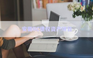 安徽RC債權(quán)資產(chǎn)項(xiàng)目
