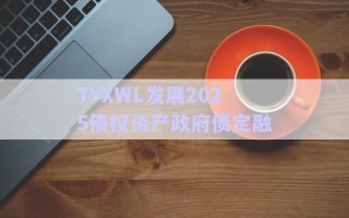 TYXWL發(fā)展2025債權(quán)資產(chǎn)政府債定融
