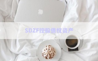 SDZF控股債權(quán)資產(chǎn)