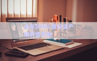 山東SDWL債權(quán)資產(chǎn)政府債定融