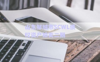 山東鄒城市SCWL債權(quán)資產(chǎn)拍賣二期 山東鄒城市SCWL債權(quán)資產(chǎn)拍賣二期