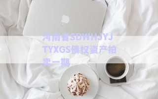 河南省SDWHJYJTYXGS債權(quán)資產(chǎn)拍賣(mài)一期