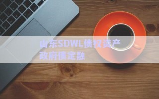 山東SDWL債權(quán)資產(chǎn)政府債定融