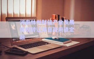 河南林州財(cái)信產(chǎn)業(yè)發(fā)展債權(quán)轉(zhuǎn)讓項(xiàng)目政府債定融