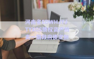河南省SDWHJYJTYXGS債權(quán)資產(chǎn)拍賣一期政府債定融