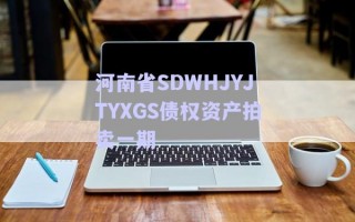 河南省SDWHJYJTYXGS債權(quán)資產(chǎn)拍賣一期