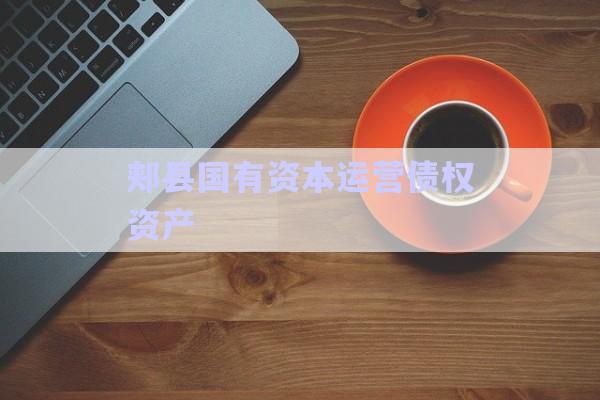 郟縣國(guó)有資本運(yùn)營(yíng)債權(quán)資產(chǎn)-第1張圖片-政信固收網(wǎng)