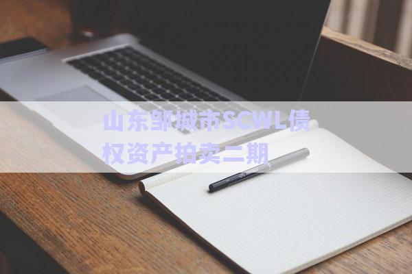 山東鄒城市SCWL債權(quán)資產(chǎn)拍賣二期-第1張圖片-政信固收網(wǎng)