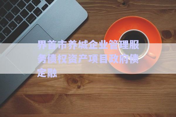 界首市養(yǎng)城企業(yè)管理服務債權資產項目政府債定融-第1張圖片-政信固收網