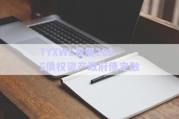 TYXWL發(fā)展2025債權(quán)資產(chǎn)政府債定融-第1張圖片-政信固收網(wǎng)