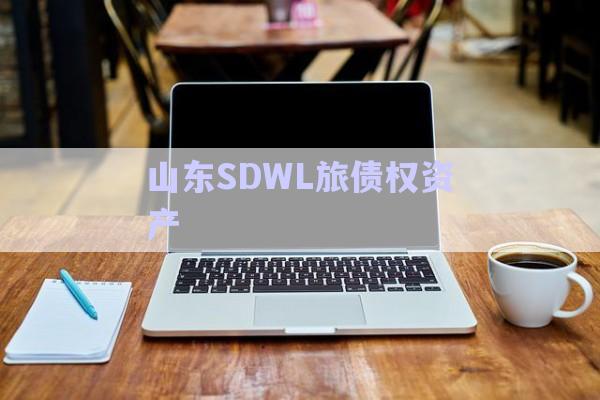 山東SDWL旅債權(quán)資產(chǎn)-第1張圖片-政信固收網(wǎng)