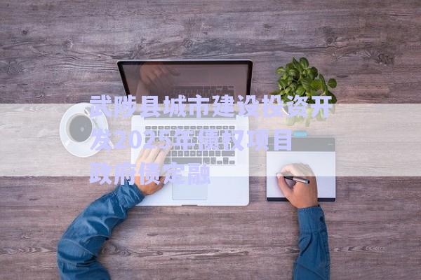武陟縣城市建設投資開發(fā)2025年債權(quán)項目政府債定融-第1張圖片-政信固收網(wǎng)